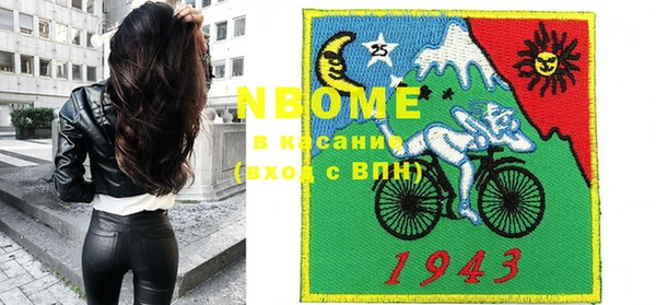 индика Алексин