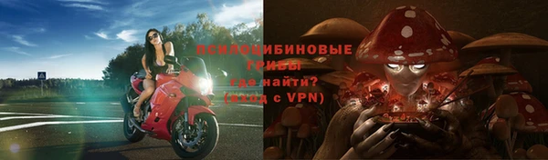 молекула духа Алексеевка
