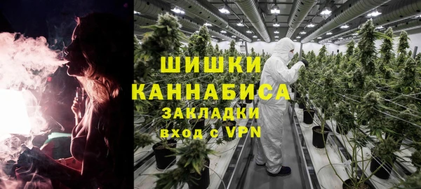 молекула духа Алексеевка