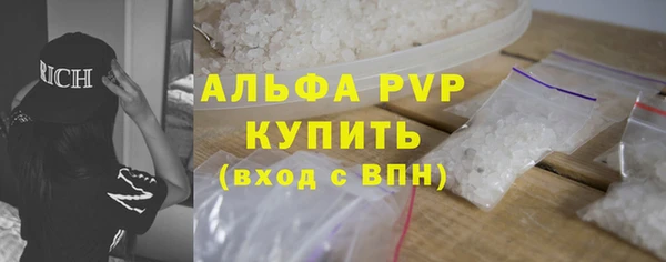 индика Алексин