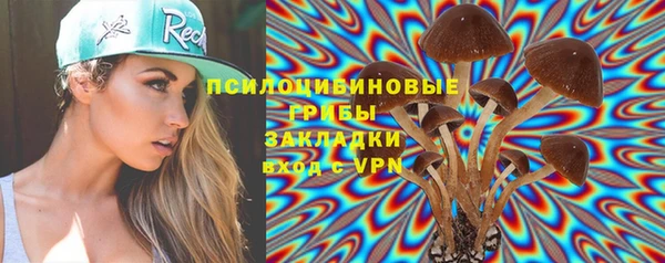 молекула духа Алексеевка
