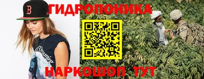 марки lsd Гай