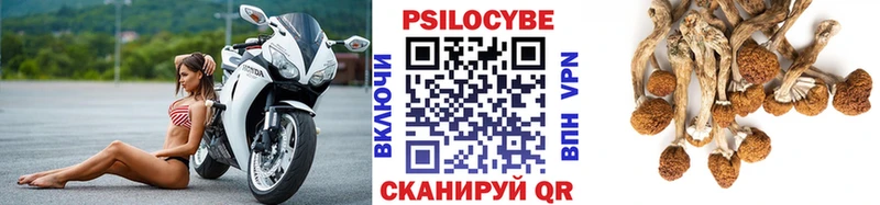 купить закладку Санкт-Петербург Псилоцибиновые грибы Cubensis