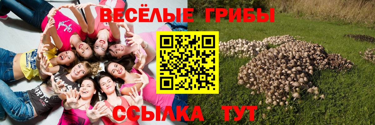 цена   Галлюциногенные грибы Cubensis  Вход с VPN  Санкт-Петербург 