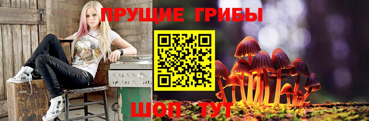 ГАШ  Вход с VPN  Альфа ПВП СК   МЕФ   Санкт-Петербург  Вейп ТГК  COCAIN  Экстази 