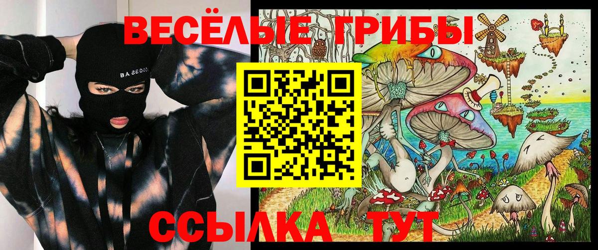 Галлюциногенные грибы прущие грибы Санкт-Петербург