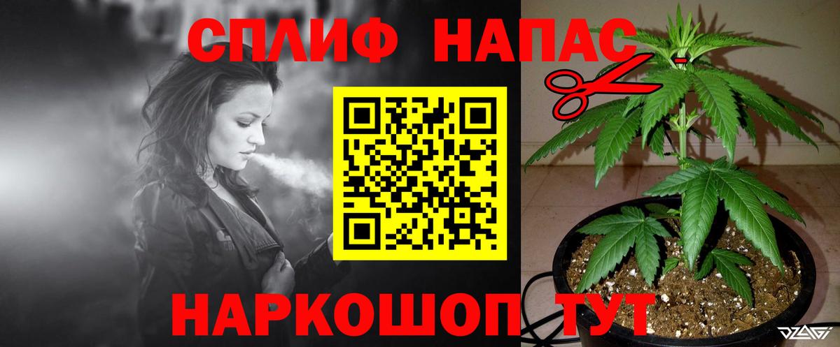 Конопля семена  Вход с VPN  Канабис LSD WEED  Санкт-Петербург  Каннабис White Widow  Конопля THC 21% 